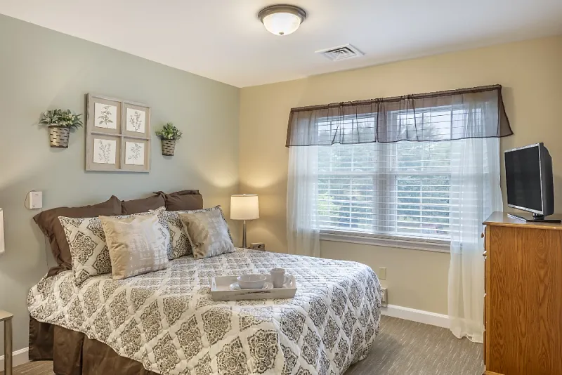 Haslett Pointe Senior Living - senior living in Haslett, Michigan - photo 9