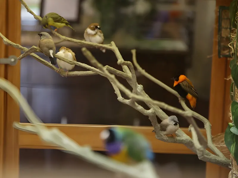 Hickory Creek at Crawfordsville photo 7