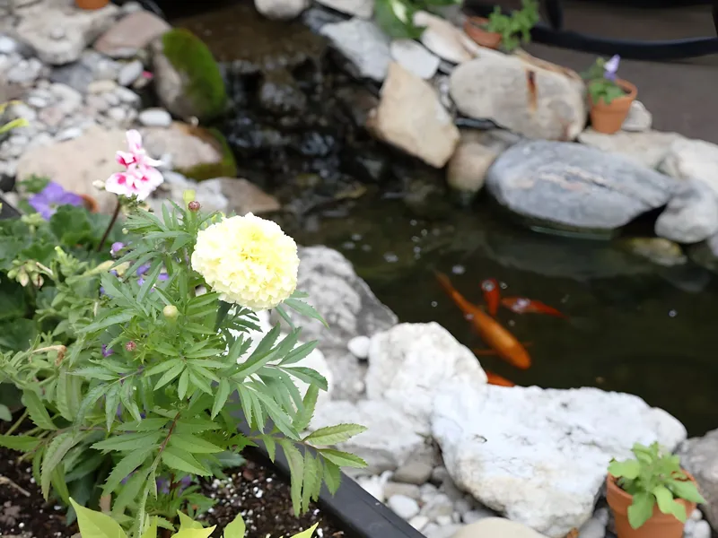 Hickory Creek at Madison photo 4