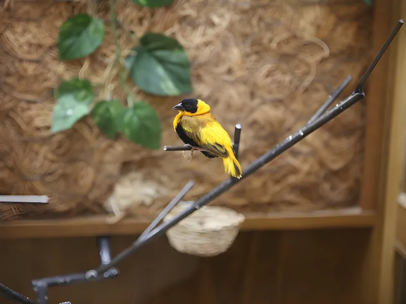 Hickory Creek at Scottsburg photo 6