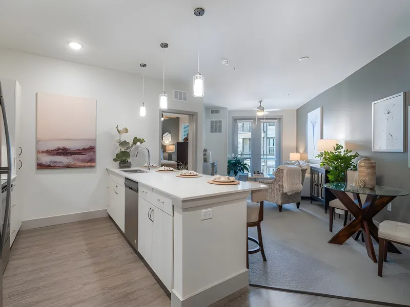 Hidden Springs of McKinney photo 2