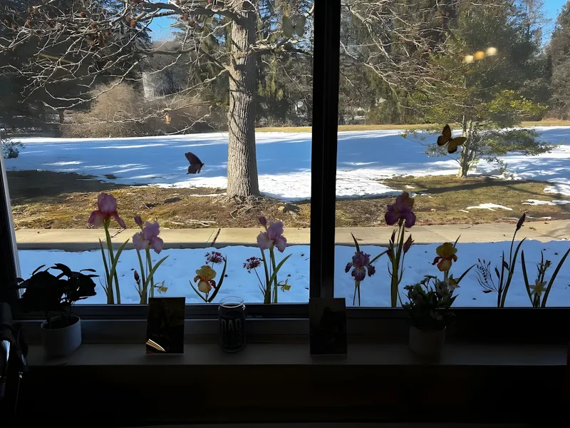 Holly Manor Center photo 6