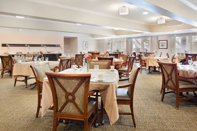 Ivy Park at Bradford photo 6