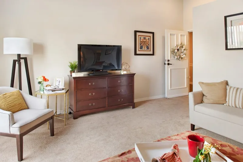 Ivy Park at Bradford photo 7