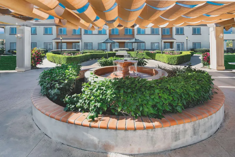 Ivy Park at Cerritos photo 8