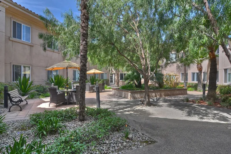 Ivy Park at Cerritos photo 9