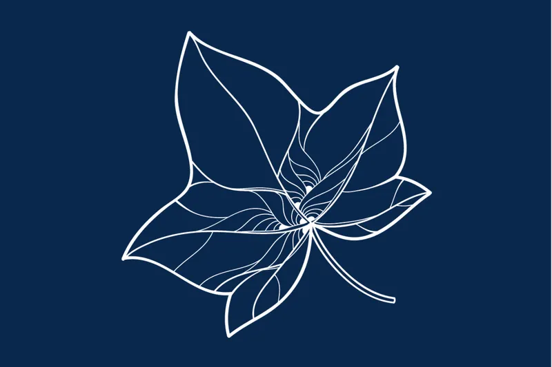 Ivy Park at Huntington Beach photo 2