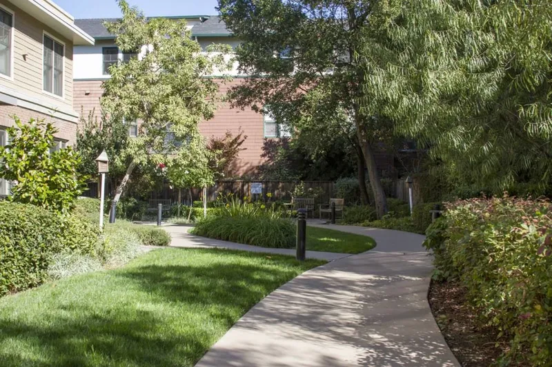 Ivy Park at Palo Alto photo 3