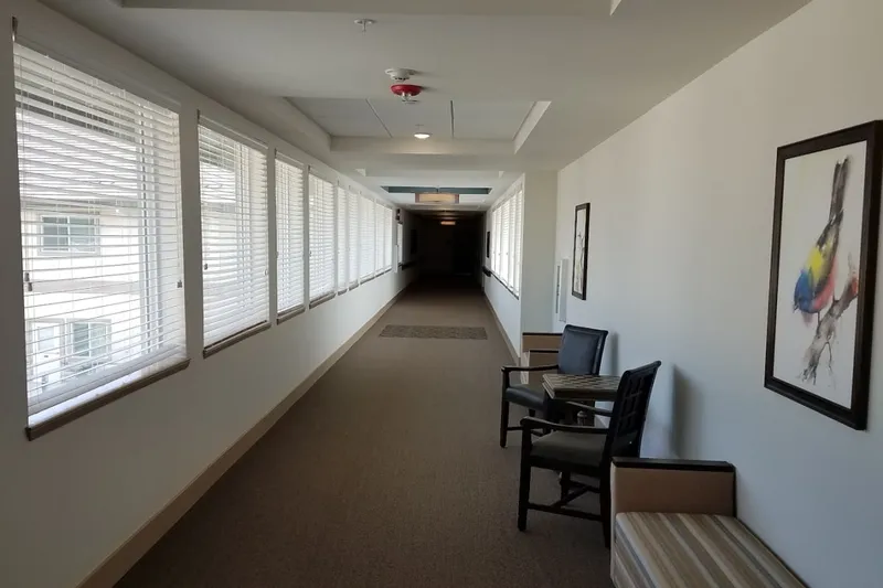 Ivy Park at Rockville photo 9