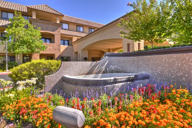 Ivy Park at Roseville photo 3