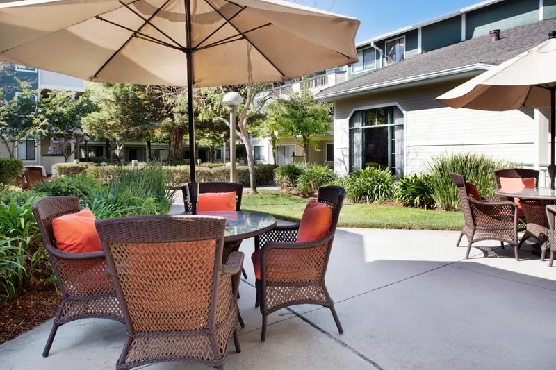 Ivy Park at Salinas photo 4