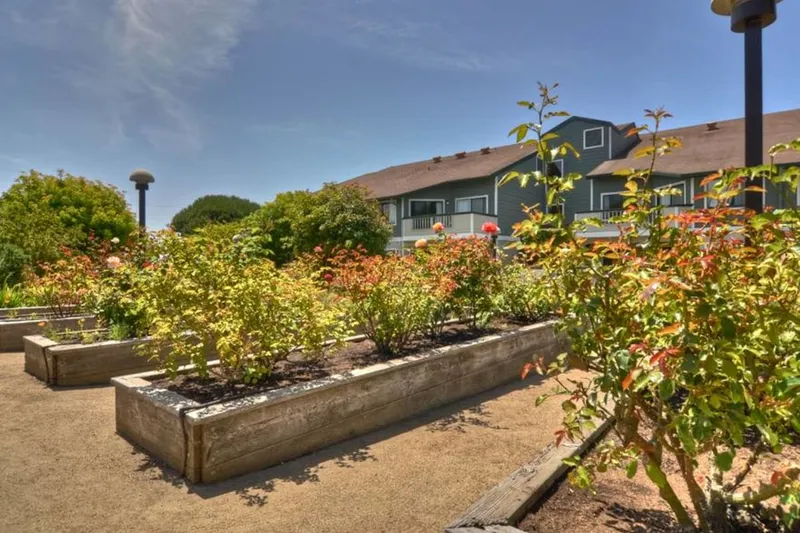 Ivy Park at Salinas photo 5