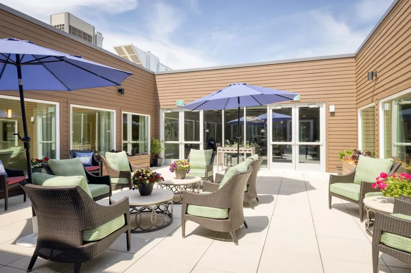 Ivy Park at San Tomas photo 2