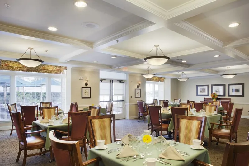 Ivy Park at Santa Monica photo 6