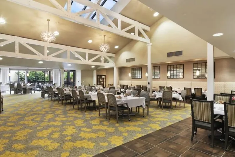 Ivy Park of Wellington photo 5