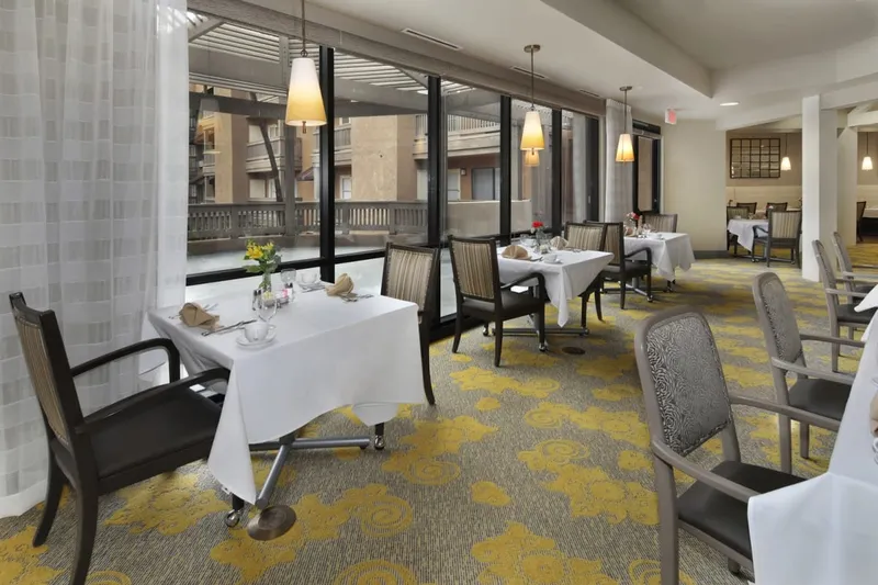 Ivy Park of Wellington photo 7