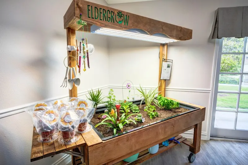 Ivy Terrace at Garden Grove photo 7