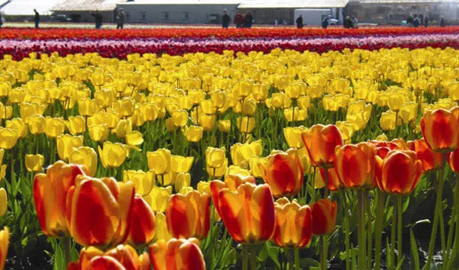 La Conner Retirement Inn photo 7