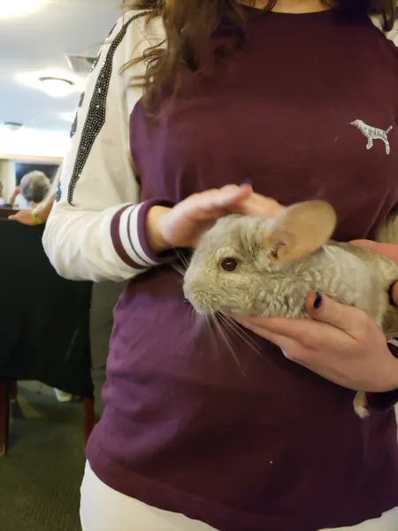 LakeHouse Coldwater photo 9