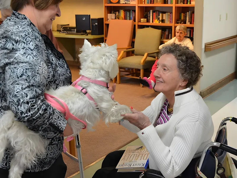 Maple Park Village photo 9