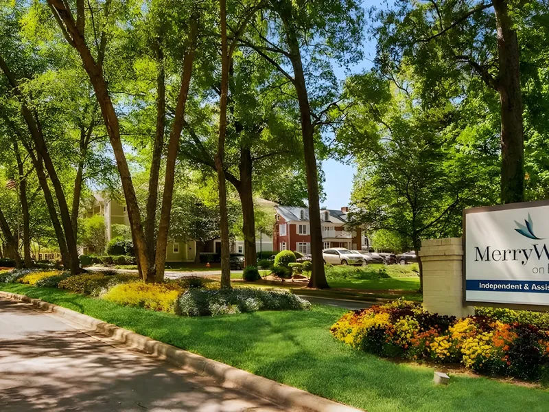 MerryWood on Park photo 7