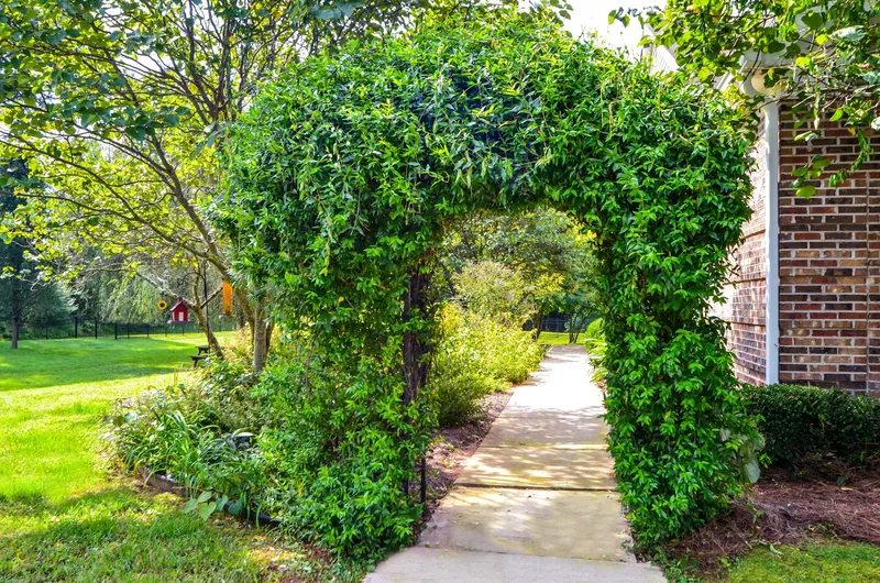 Morningside of Anderson photo 8