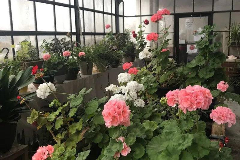 Oak Hill Supportive Living Community photo 7