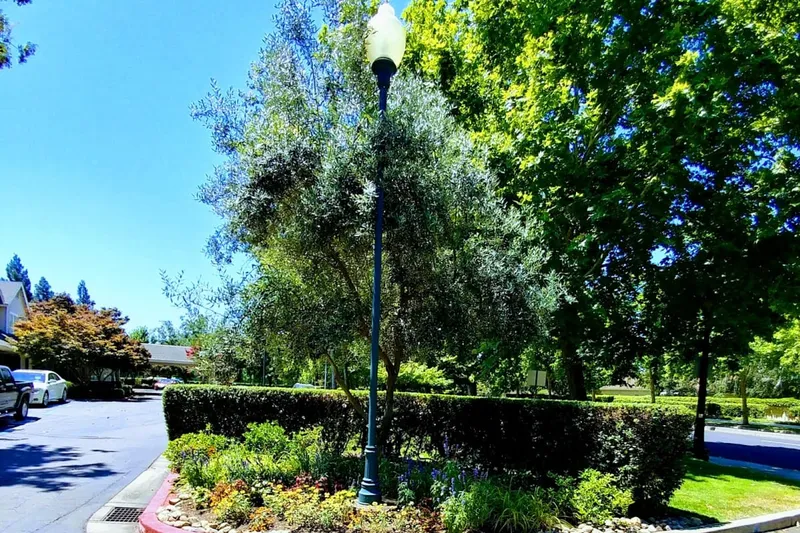 Oakmont at Brookside photo 7