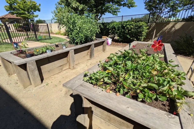 Oakmont of Roseville photo 4