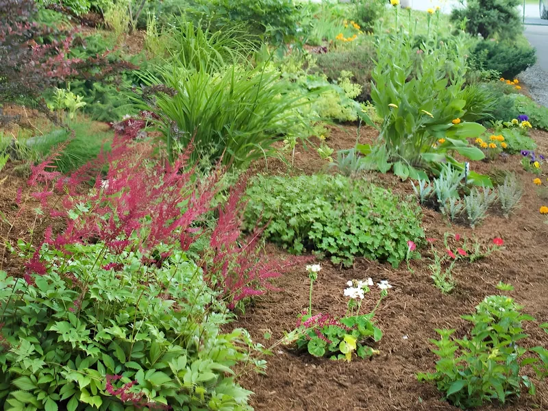 Orono Commons photo 6