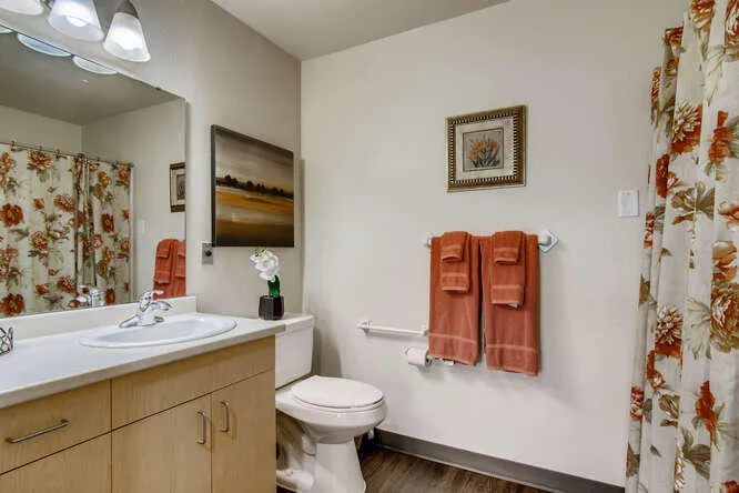 Paradise Springs photo 2