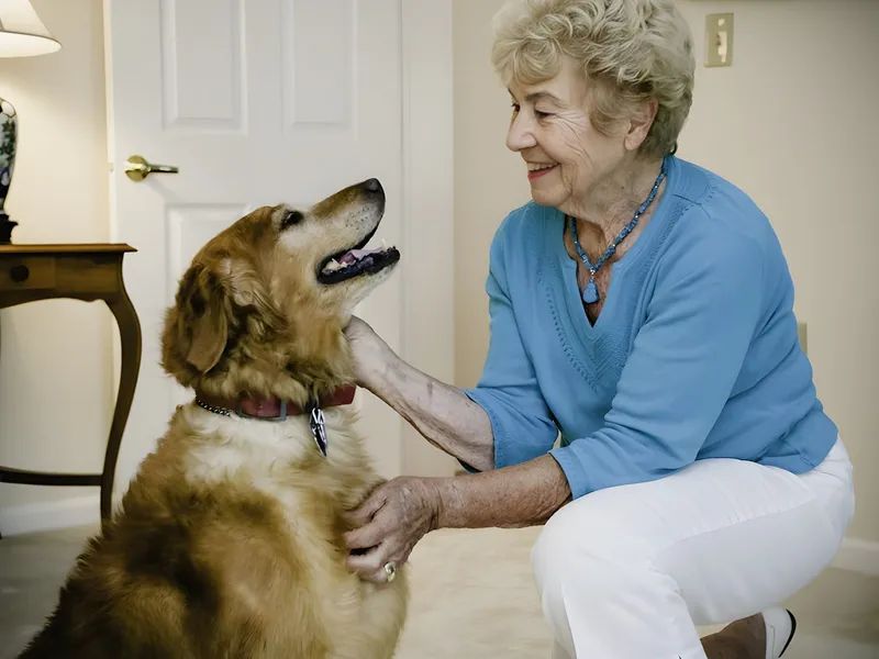 Pomperaug Woods photo 9