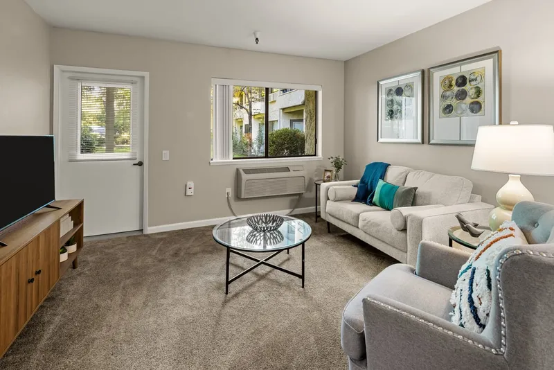 Provincial Chico photo 3