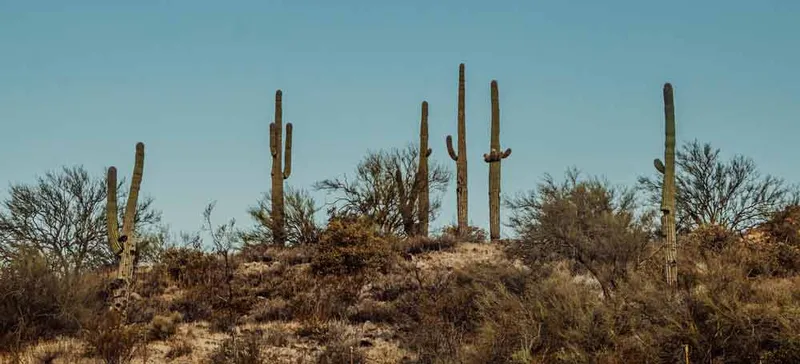 Revel McDowell Mountain - senior living in Scottsdale, Arizona - photo 12