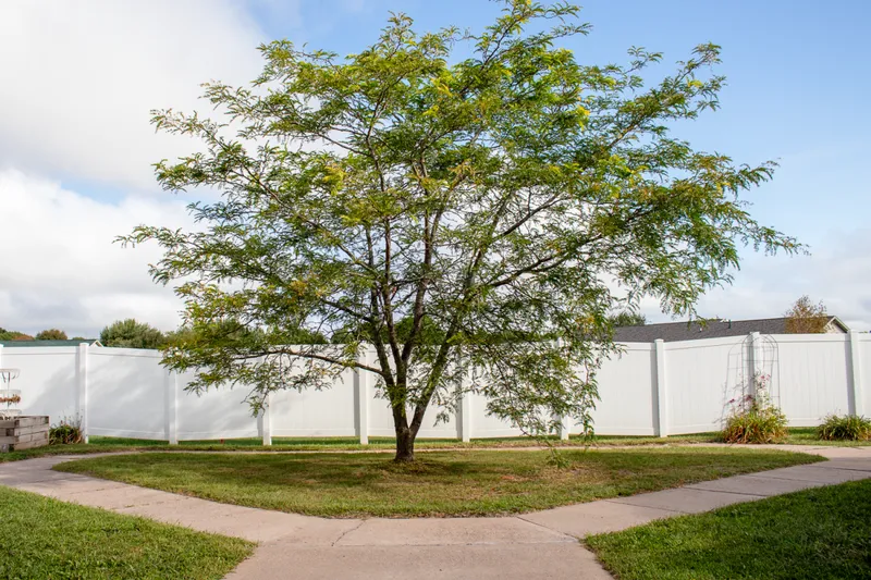 Rice Lake Memory Care photo 8