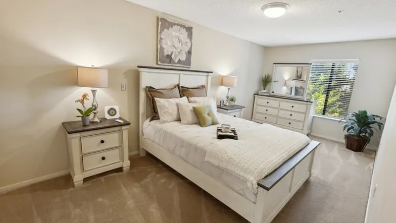 Rio Las Palmas photo 6