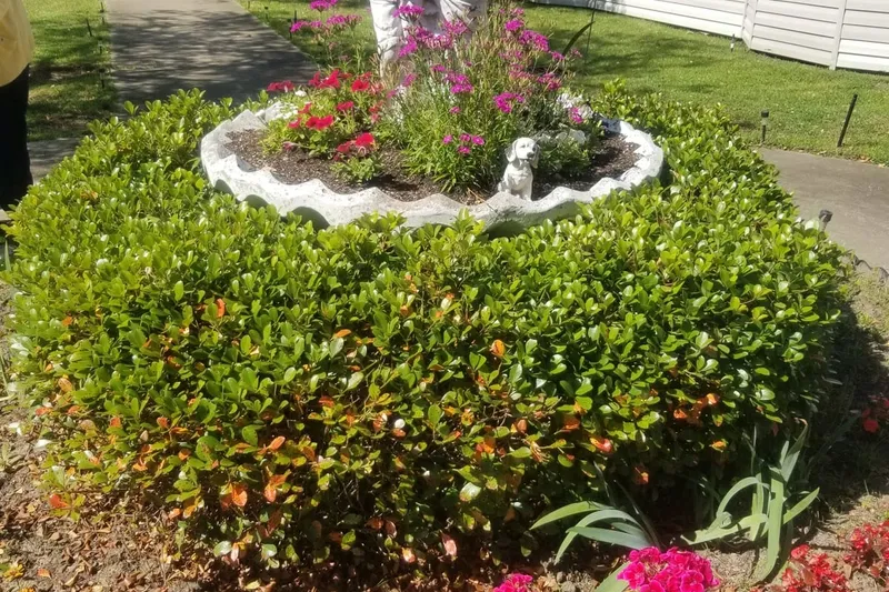 Savannah Grand of West Monroe photo 7