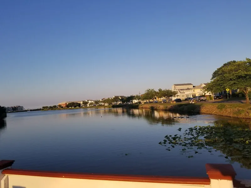 Seaton Ocean Grove photo 5