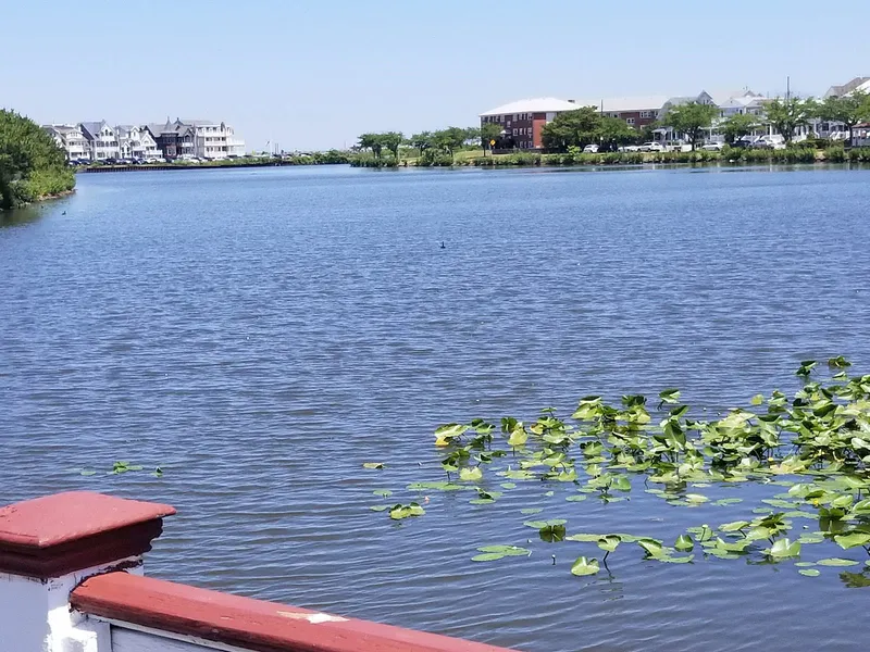 Seaton Ocean Grove photo 9