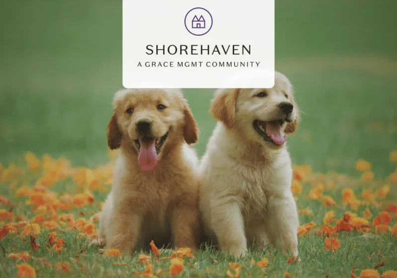 Shorehaven - senior living in Sterling Heights, Michigan - photo 12