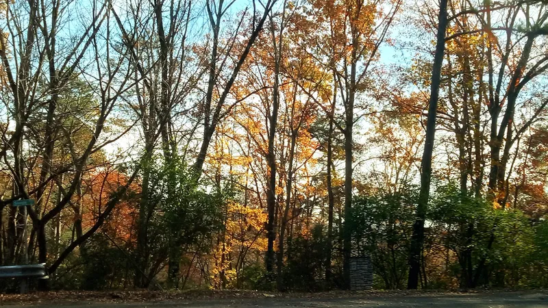 Signal Mountain Senior Living photo 7