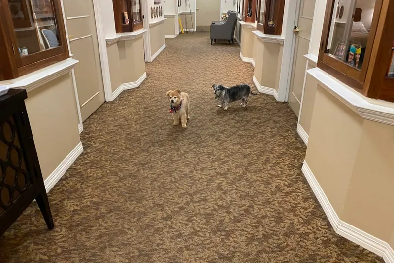 Silverado Newport Mesa Memory Care Community photo 9