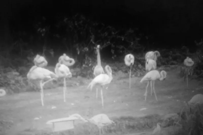 Silverado Sierra Vista Memory Care Community photo 4