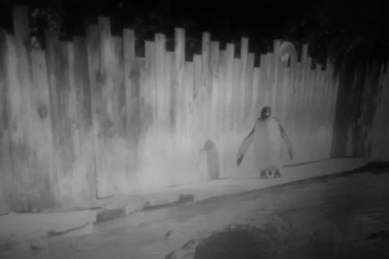 Silverado Sierra Vista Memory Care Community photo 6