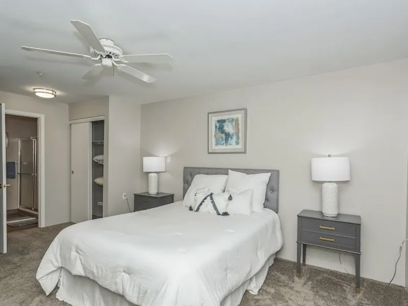 Smoky Springs by Barclay House photo 2