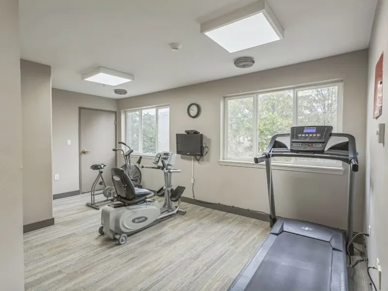 Smoky Springs by Barclay House photo 4