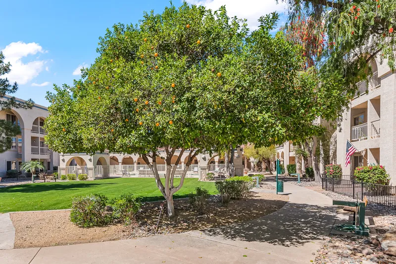 Solstice Senior Living at Sun City West photo 8