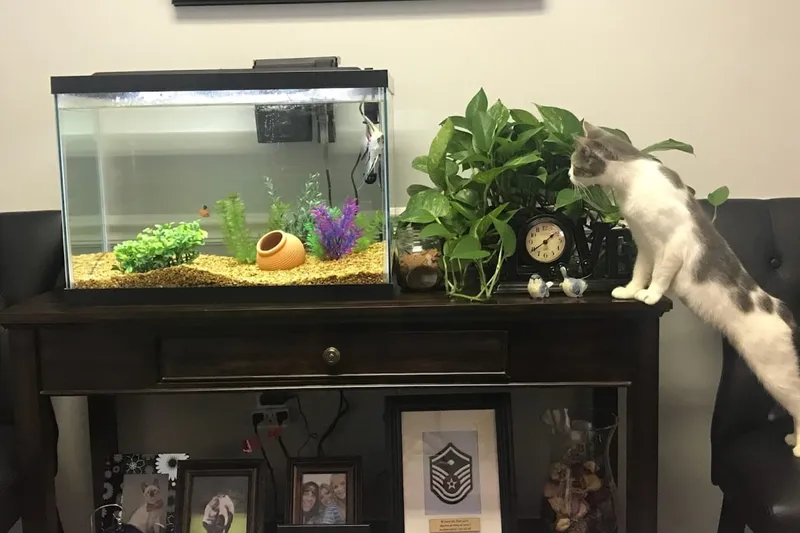 Southern Pines Senior Living photo 7