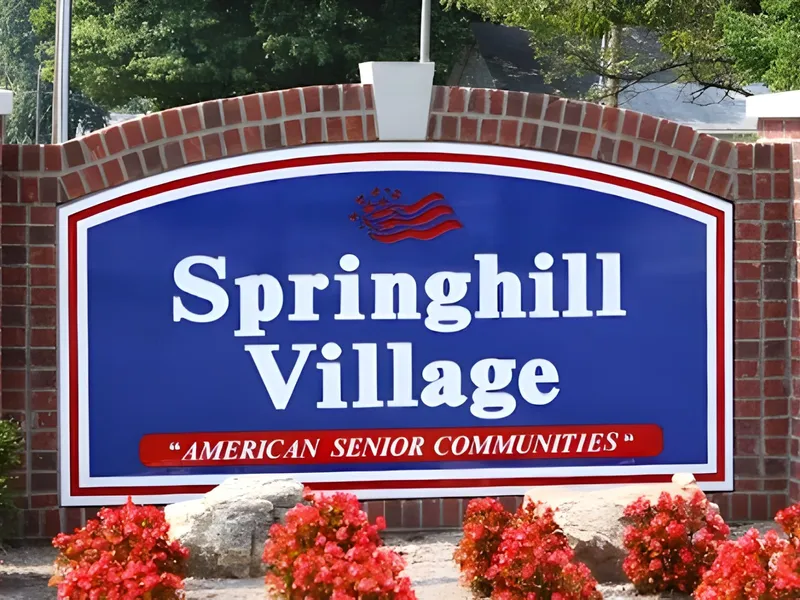 Springhill Village photo 2