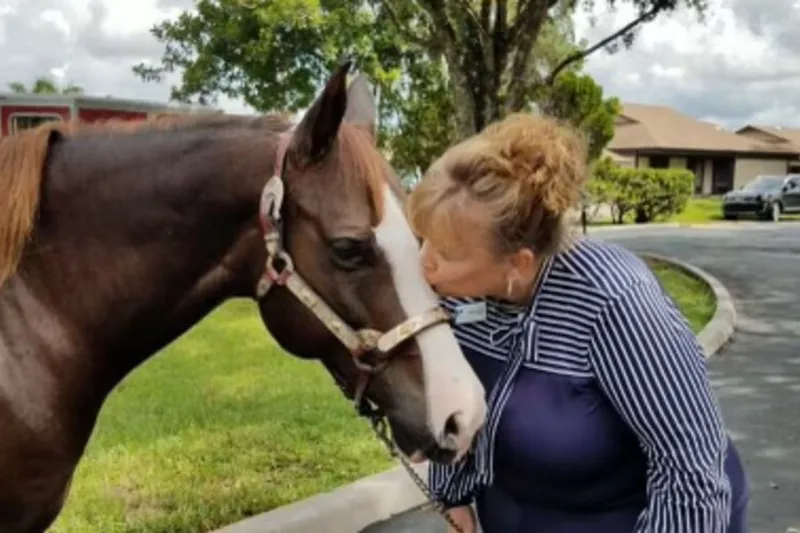 Springwood Court photo 6